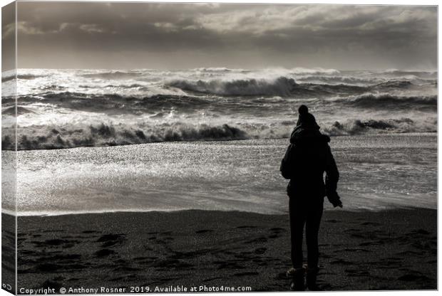 Black Sand Beach Vik Iceland Canvas Print by Anthony Rosner