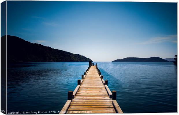 Pier at Ship Cove, South Island New Zealand  Canvas Print by Anthony Rosner