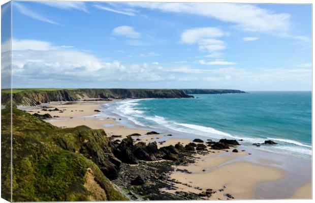 The wild rugged coastline of Pembrokeshire Canvas Print by David Wall