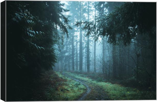A path through a beautiful misty forest Canvas Print by David Wall