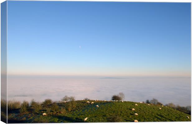 Above the clouds Canvas Print by David Wall