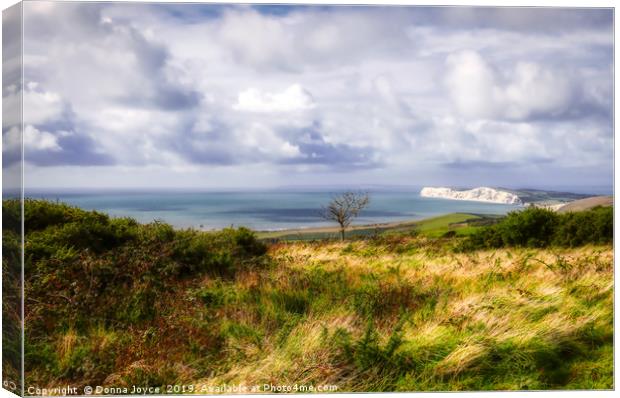 View across the Isle of Wight Canvas Print by Donna Joyce