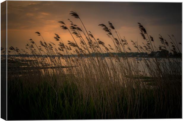 Chichester Harbour Sunset Canvas Print by Steve Thomson