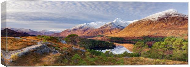 Glen Affric in winter Canvas Print by Mike Johnston