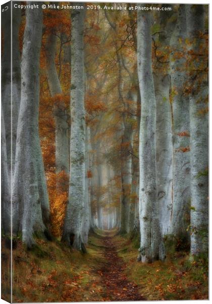 Beech tree lined path on misty autumn morning Canvas Print by Mike Johnston