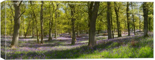 Kinclaven bluebell wood panorama Canvas Print by Mike Johnston