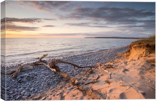 Sunset driftwood Canvas Print by Tony Twyman