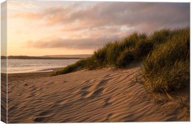 Sunset sands of Instow Beach Canvas Print by Tony Twyman