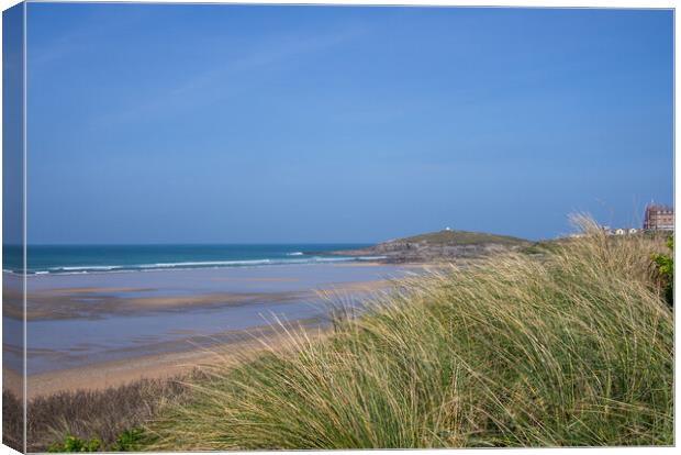 Dune grass at Fistral Beach Canvas Print by Tony Twyman