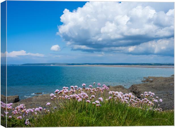 Sea pinks at Westward Ho! Canvas Print by Tony Twyman