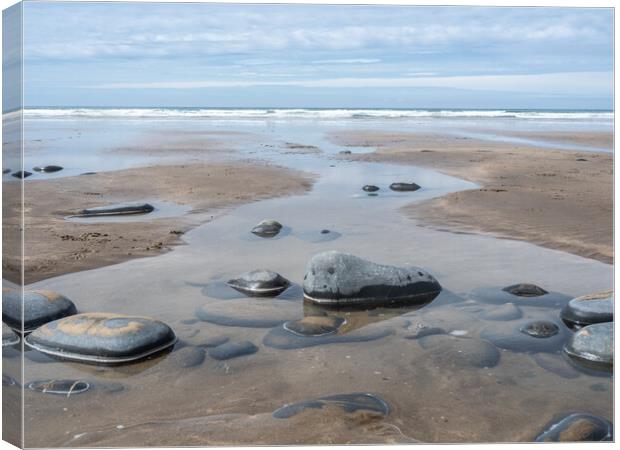 Tidal rock pool on Westward Ho beach Canvas Print by Tony Twyman