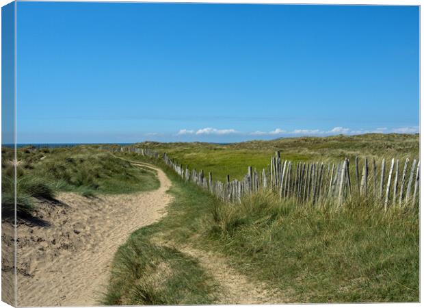 Pathway through the dunes Canvas Print by Tony Twyman