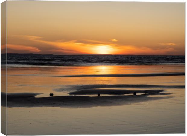 Sunset stumps Canvas Print by Tony Twyman