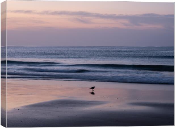Sunrise on the Algarve coast Canvas Print by Tony Twyman