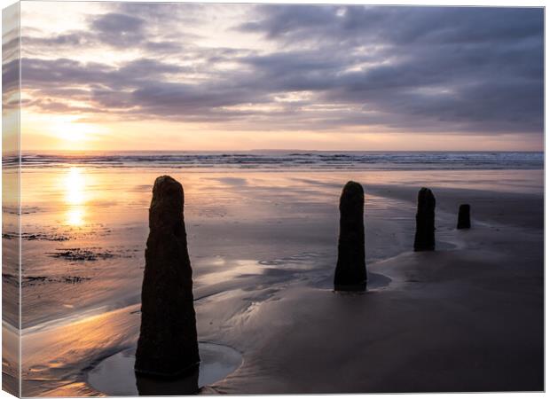 Weathered Groynes at Sunset Canvas Print by Tony Twyman