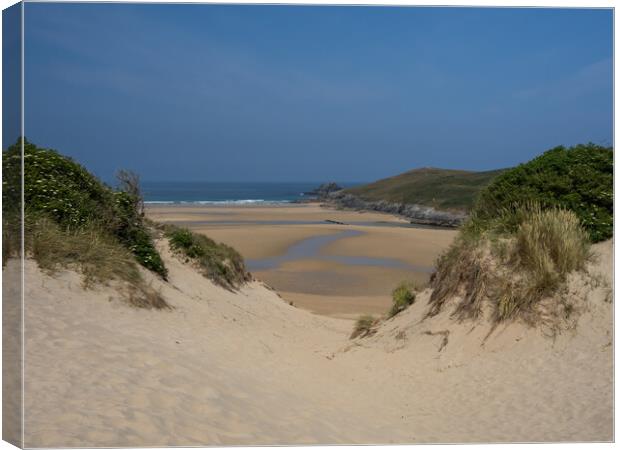 Cornish Sand Dunes Canvas Print by Tony Twyman