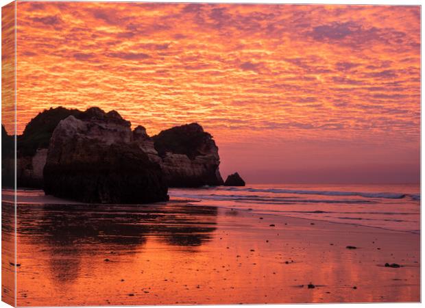 Fire sky sunrise Canvas Print by Tony Twyman