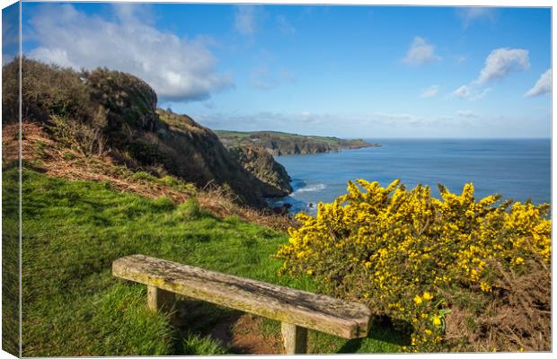 Bench on the combe Martin to Hangman hills walk Canvas Print by Tony Twyman