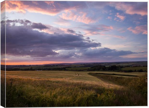 Farmers field in Bideford at Sunset in North Devon Canvas Print by Tony Twyman