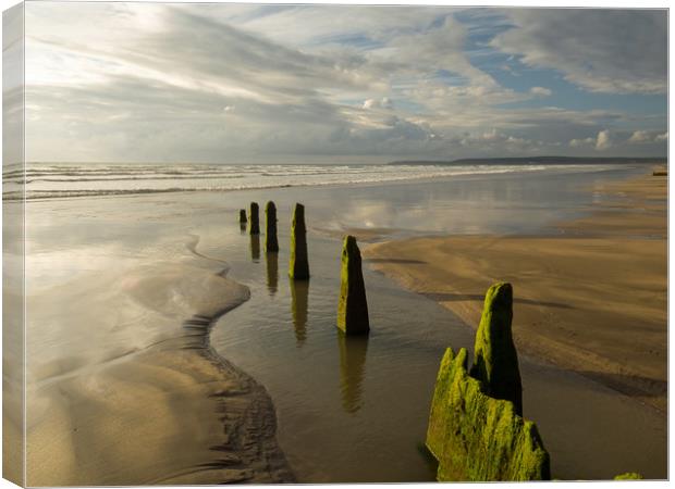 Westward Ho! groynes leading to the shoreline Canvas Print by Tony Twyman