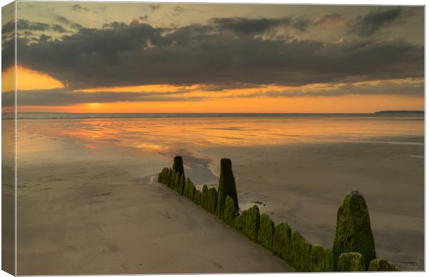 Westward Ho! sunset with weathered beach groynes Canvas Print by Tony Twyman
