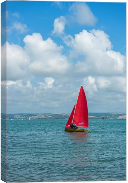 Yacht sailing on the Torridge estuary at Instow Canvas Print by Tony Twyman