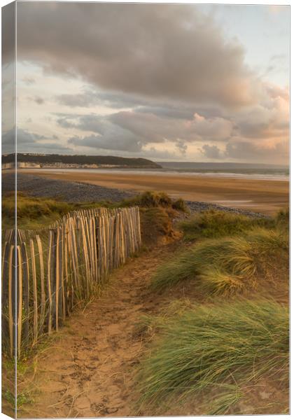 Northam Burrows Nature reserve Canvas Print by Tony Twyman