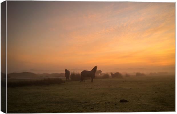 Misty Sunrise at Northam Burrows in North Devon Canvas Print by Tony Twyman