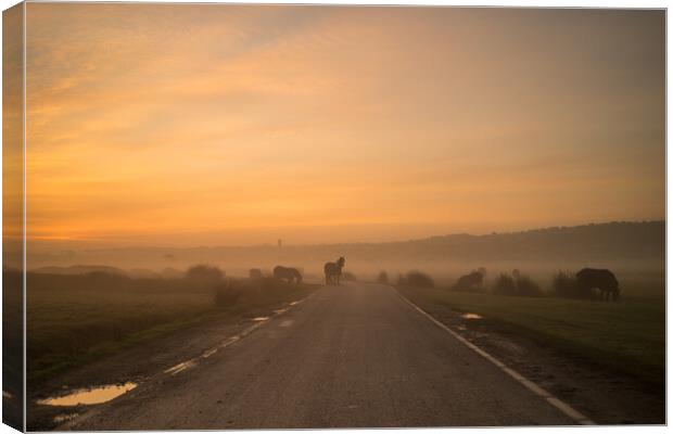 Devon road block at Northam Burrows Canvas Print by Tony Twyman