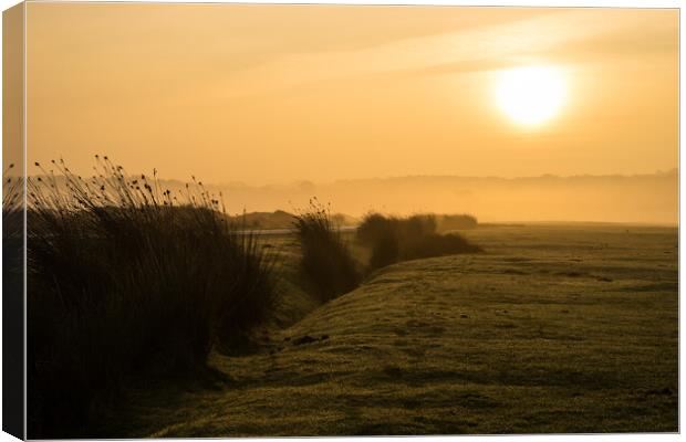 Misty winter sunrise Canvas Print by Tony Twyman