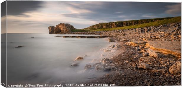Target Rock  Canvas Print by Tyne Tees Photography