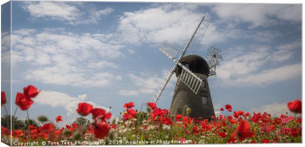 Poppies at Whitburn Windmill Canvas Print by Tyne Tees Photography