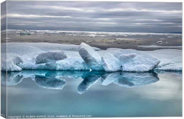 Icebergs shapes in Peel Sound, Canada. Canvas Print by RUBEN RAMOS