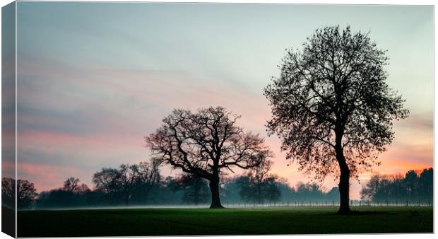 Trees Of Hope Canvas Print by Ben Hatwell