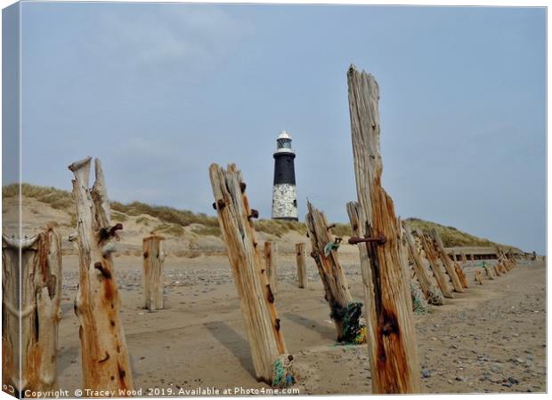 Spurn Point Lighthouse                     Canvas Print by Tracey Wood