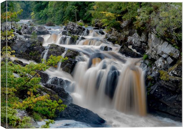 Rogie Falls  Canvas Print by Nick Sellers