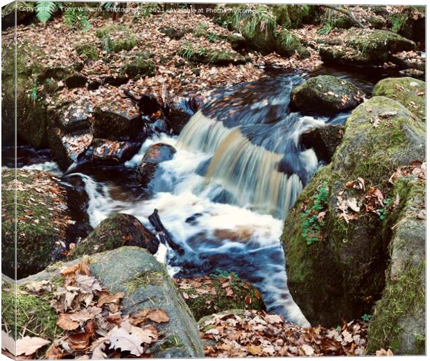 Let it flow Canvas Print by Tony Williams. Photography email tony-williams53@sky.com