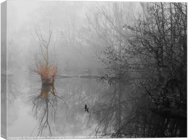 Misty morning by the lake Canvas Print by Tony Williams. Photography email tony-williams53@sky.com