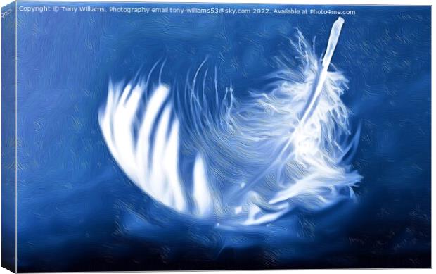 Light as a feather Canvas Print by Tony Williams. Photography email tony-williams53@sky.com