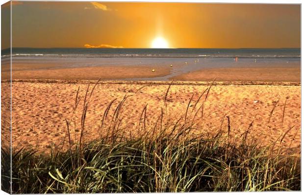 Normandy Beach Canvas Print by Tony Williams. Photography email tony-williams53@sky.com