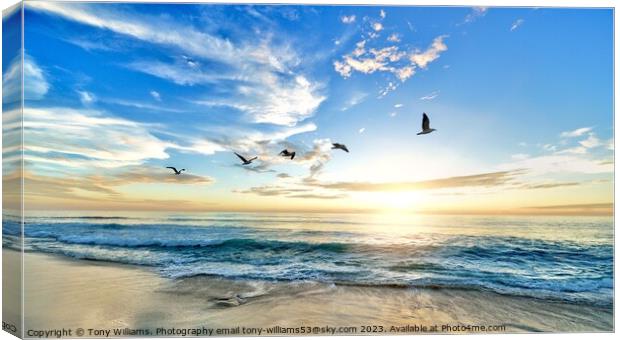 Turtle beach Canvas Print by Tony Williams. Photography email tony-williams53@sky.com