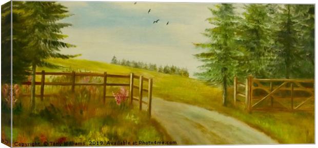 Country Scene. Canvas Print by Tony Williams. Photography email tony-williams53@sky.com