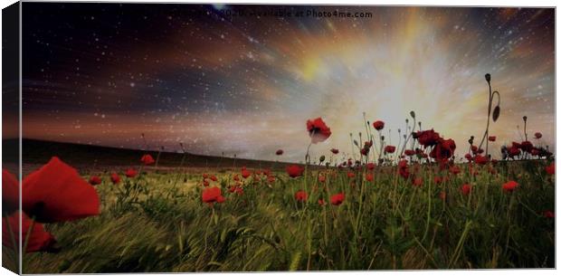 Poppy Fields Canvas Print by Tony Williams. Photography email tony-williams53@sky.com