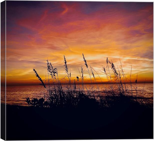 Turtle Beach Canvas Print by Tony Williams. Photography email tony-williams53@sky.com