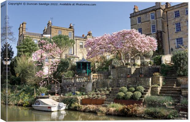 Cherry Blossom along the canal in Bath Canvas Print by Duncan Savidge