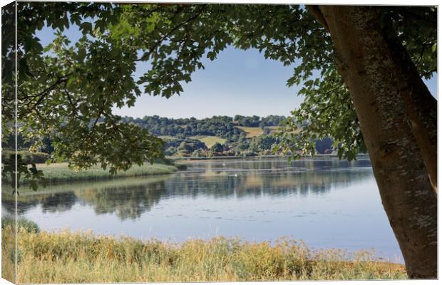 Chew Valley Lake framed in the summer Canvas Print by Duncan Savidge