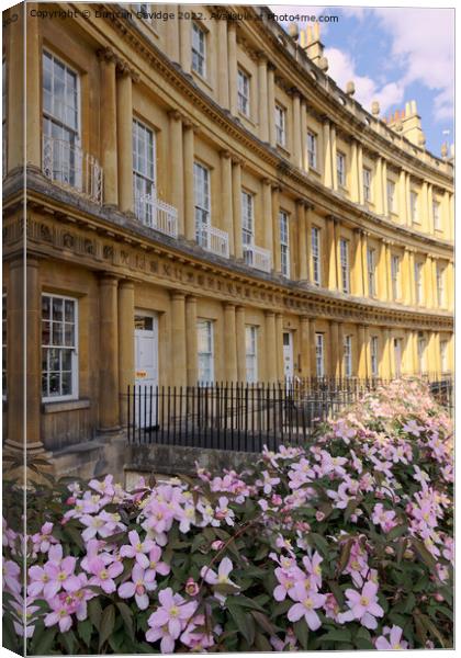 Clematis at the Circus in Bath Canvas Print by Duncan Savidge