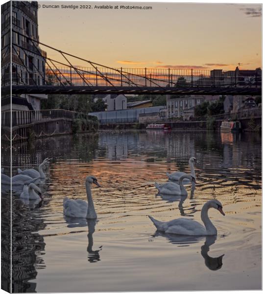 Swans at sunset along the River Avon Bath Canvas Print by Duncan Savidge