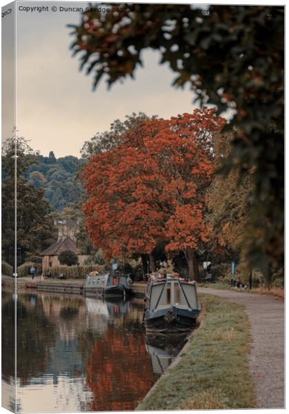 Kennet and Avon canal Autumn tree Canvas Print by Duncan Savidge