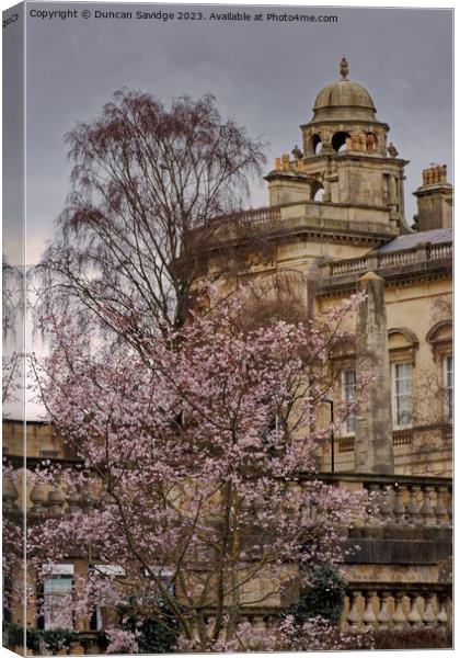 Blossom tree against the Guildhall Bath Canvas Print by Duncan Savidge